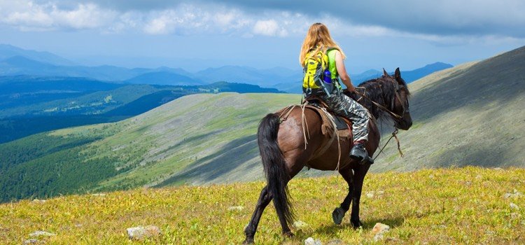 Jual Sparepart Truck Terlengkap